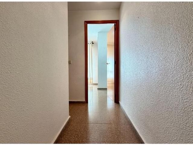 Centro Ripoll Aquí está Tu Piso!