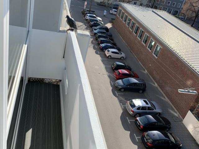 Central Munich/Maxvorstadt: Very nice and bright 1 room apartment with balcony