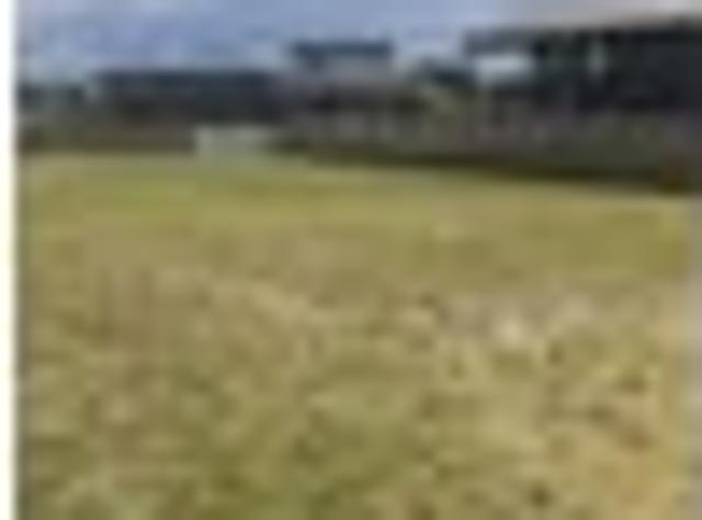 Central Mangawhai Heads