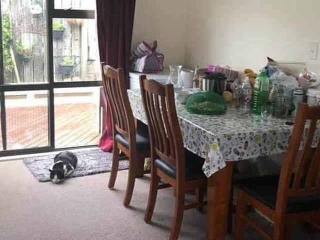 Central Howick Sunny Northfacing 3 Rooms 1 Bath