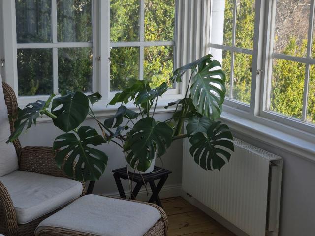 Central lägenhet utsikt Svartån 100 m² 12 850 kr