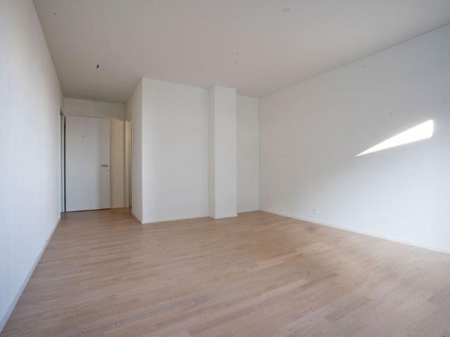 Central living in Spreitenbach!