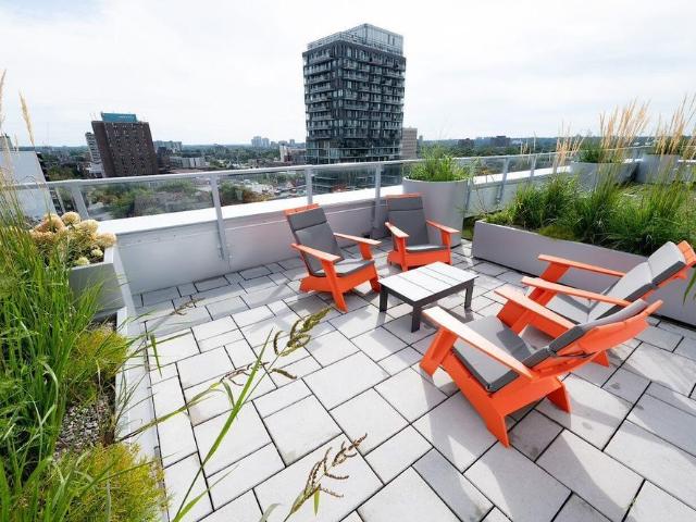 Centretown mid rise modern apartment building