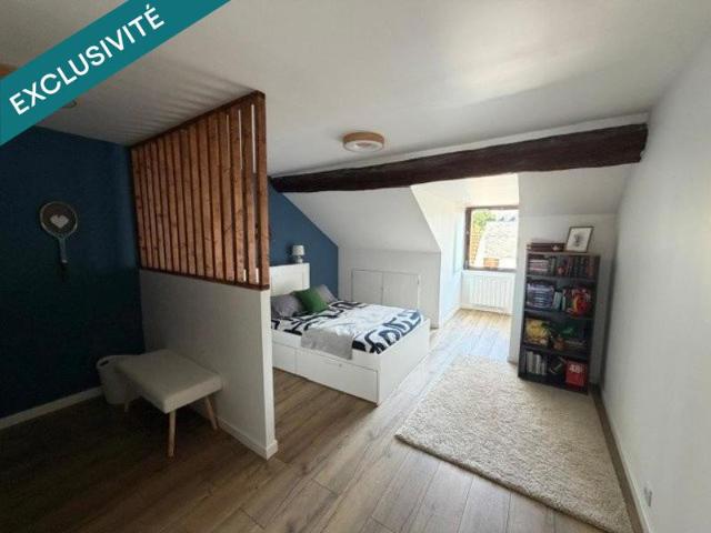 Centre bourg de Saint Denis de L'hotel, appartement/maison 215 m2 carrez