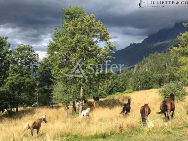 centre equestre aux houches a vendre