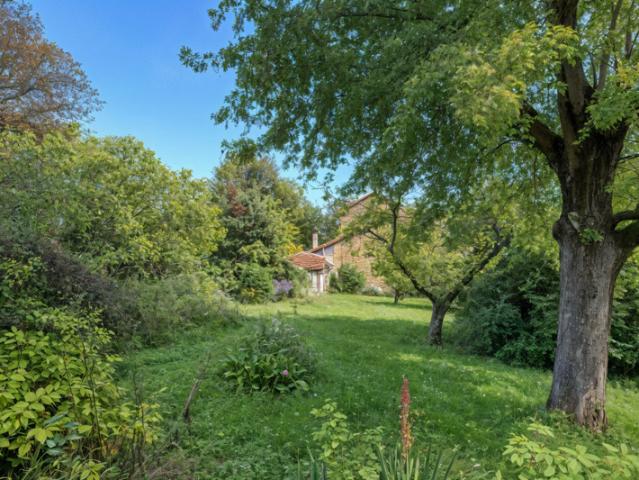 Centre Saint Cyr au Mont d'or OPPORTUNITE ET POTENTIEL