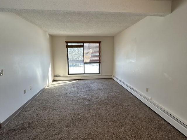 Centre Street Apartment 1 Bedroom Apartment for Rent at 129 Centre St S, Sundre, AB T0M None