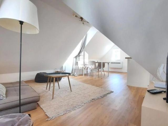 CENTRE VILLE 1P MEUBLE 23.71m²
