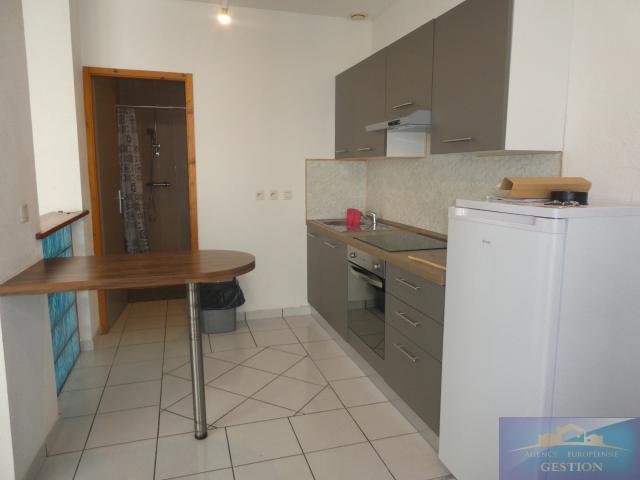 Centre ville appartement T1 meublé de 48,88m2 en RDC refait à neuf