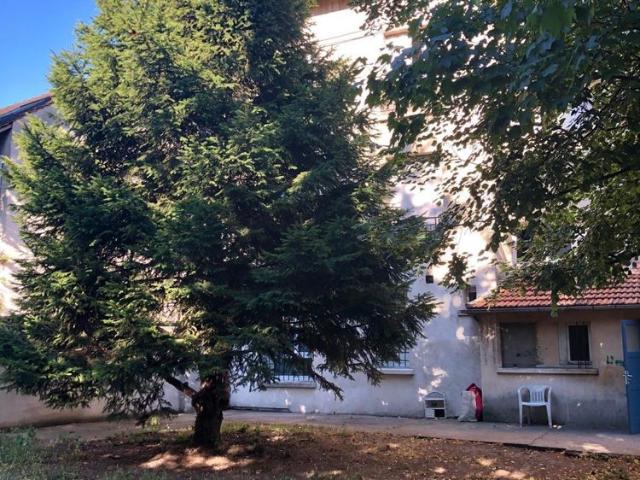 CENTRE VILLE NEUILLY PLAISANCE