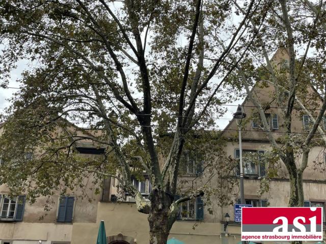 Centre ville Spacieux F1 quartier historique