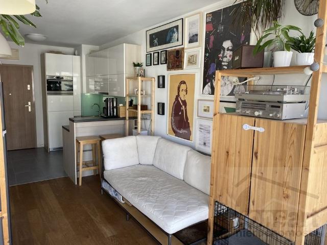 Centrum, apartament 1 pokojowy Kamienica Nova