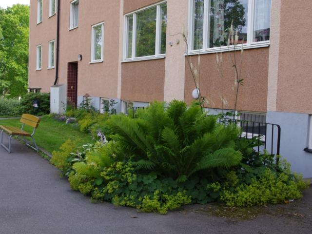 centrum, finspång, östergötland