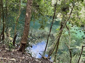 CENOTE AZUL” – 20 Hectáreas de Naturaleza, Agua y Potencial Infinito en Yucatán