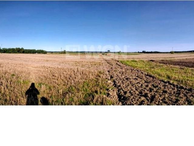 Cecenowo 22 800 m², Cecenowo