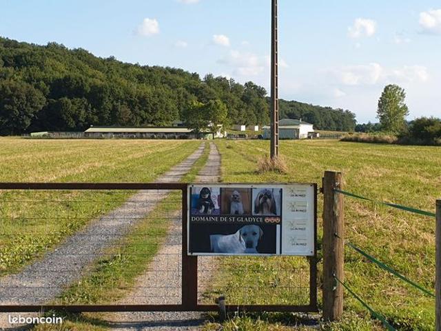 Cède élevage canin cheptel lof, maison, prévu pour chevaux sur presque 12 hectares