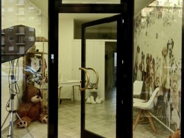 Cedesi attivit di toelettatura a Torino