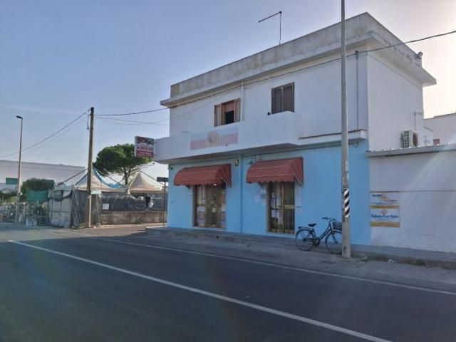 CEDESI STORICO E AVVIATISSIMO ALIMENTARI/MINIMARKET TORRE COLIMENA TA