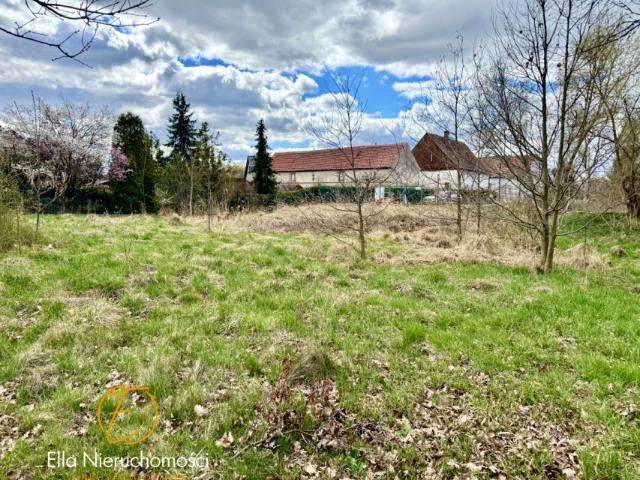 Cegielniana 987 m², Rzeszotary