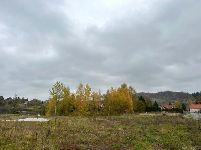 Cegielniana 9 058 m², Kamienna Góra