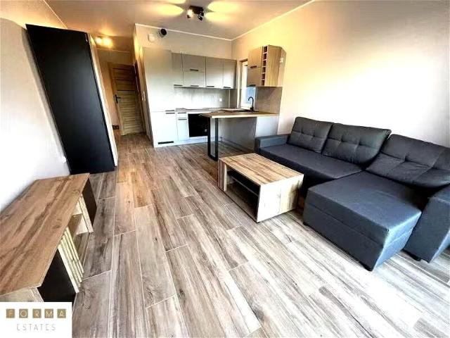 Ceglana 30,40 m², Katowice