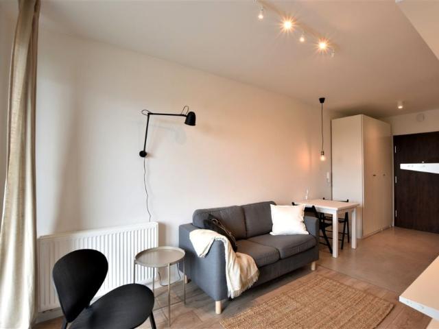 Ceglana 30,81 m², Katowice