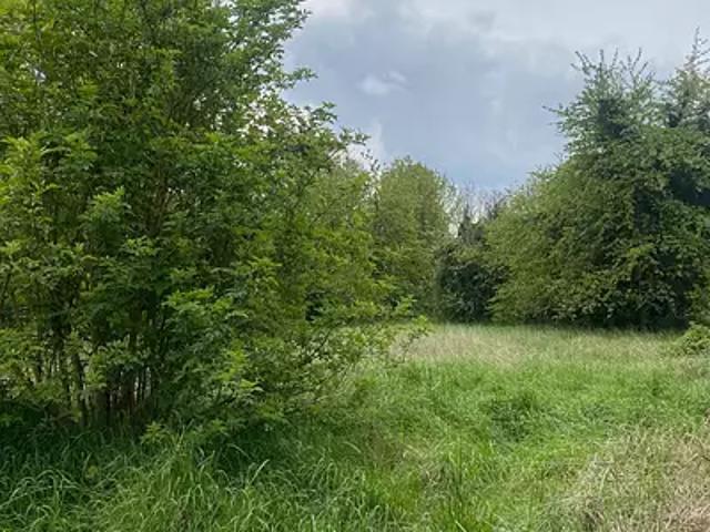 Cély 77930 Achat / Vente terrain