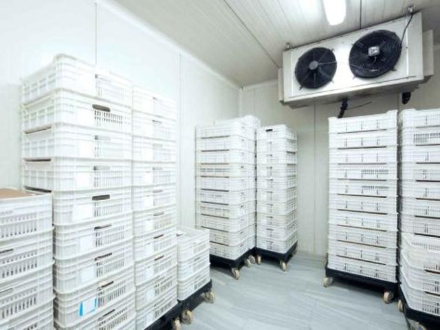 Cella Frigo