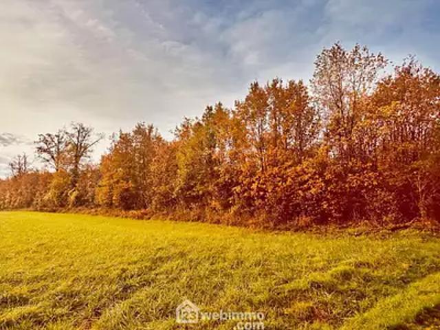 Celle Lévescault 86600 Achat / Vente terrain