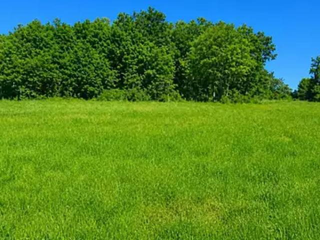 Celles 24600 Programme neuf terrain neuf à vendre