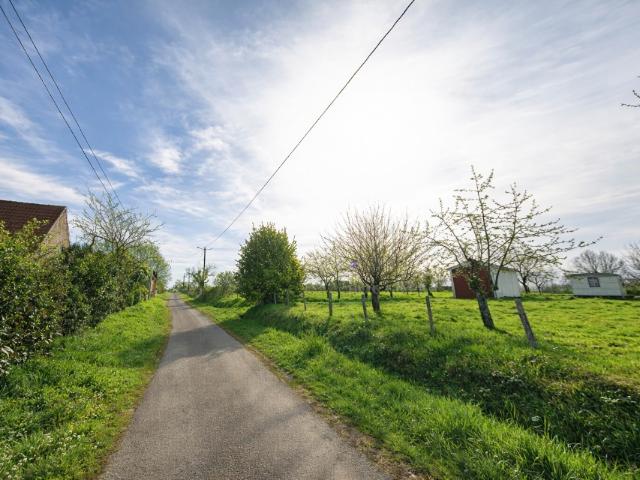 Celon Vente Terrain 36