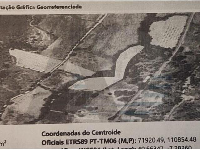 Celorico da Beira Celorico da Beira 98188470