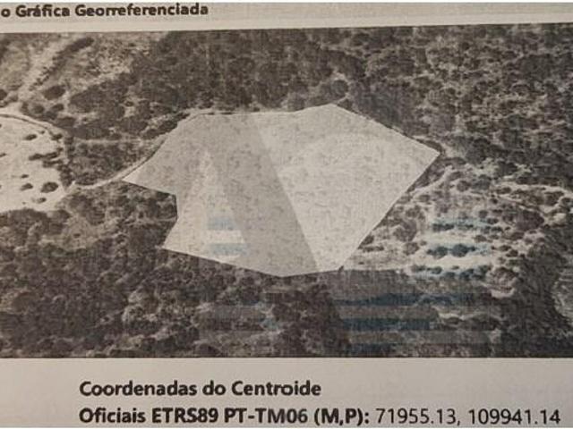 Celorico da Beira Celorico da Beira 98639295