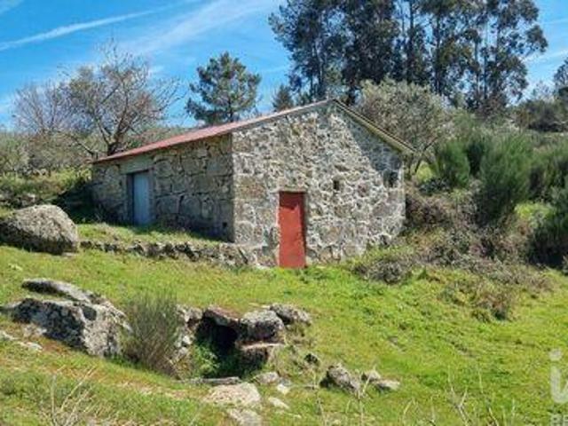 Celorico Da Beira Guarda LS100265283