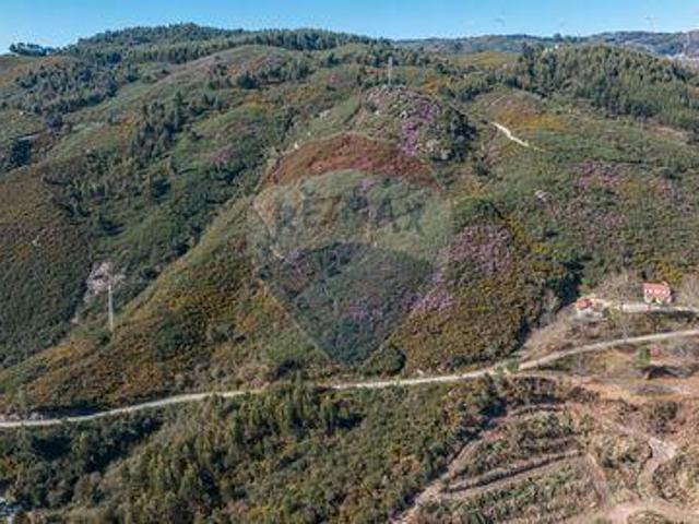Celorico De Basto Braga 100020126