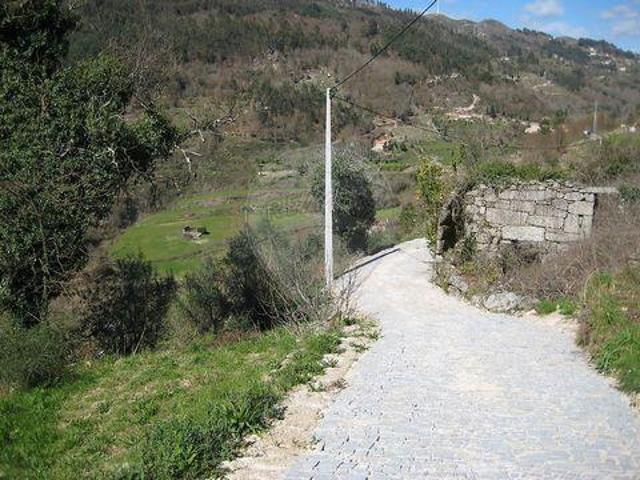 Celorico De Basto Braga 100020349
