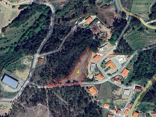 Celorico De Basto Braga 100021220