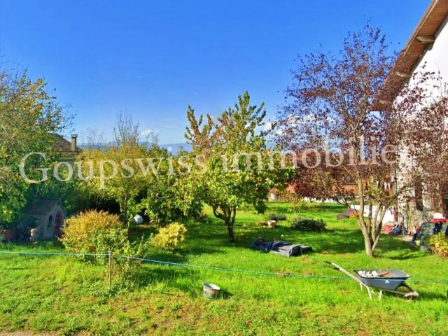 Cervens Vente Terrain 74