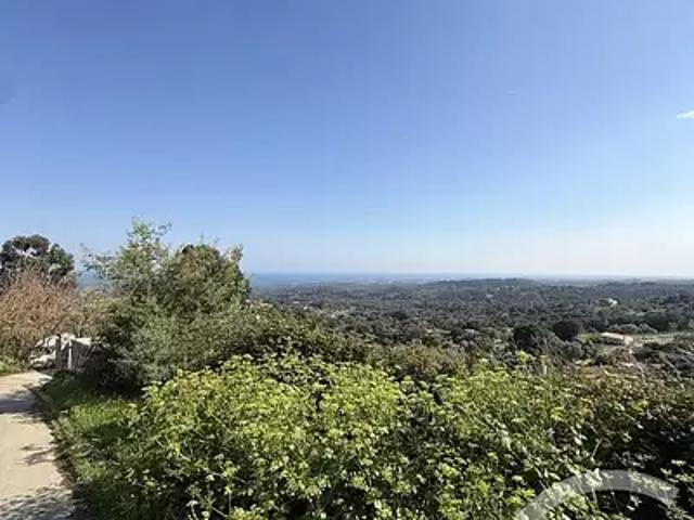 Cervione 20221 Achat / Vente terrain
