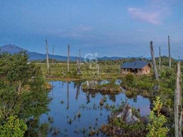 Cercanas a Ruta 225 Puerto Varas Kilometro 8 5000.00 m2