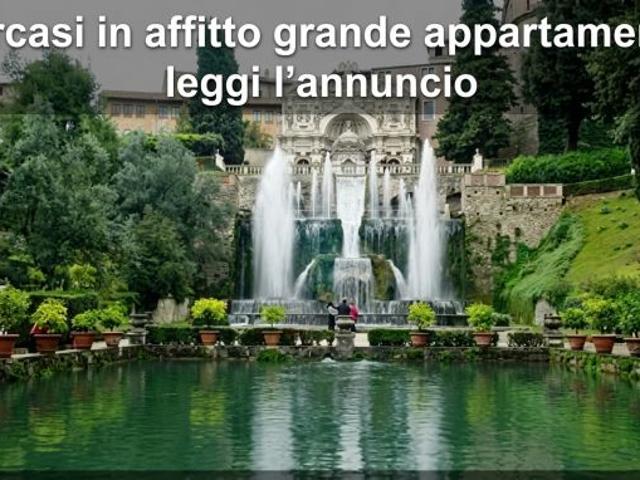 Cercasi in affitto B&B o affittacamere