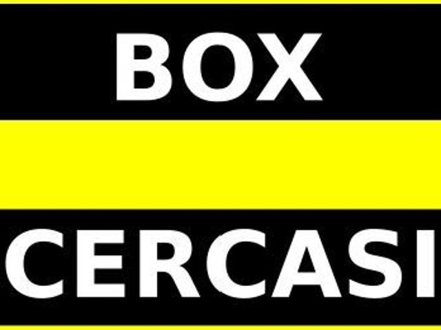 CERCO BOX/ POSTO AUTO IN AFFITTO ZONA MACCHIA GIALLA