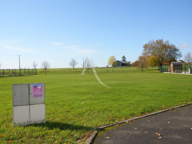 Cercottes Vente Terrain 45