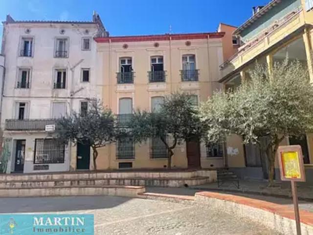 Céret 66400 Achat / Vente appartement 2 pièces t2