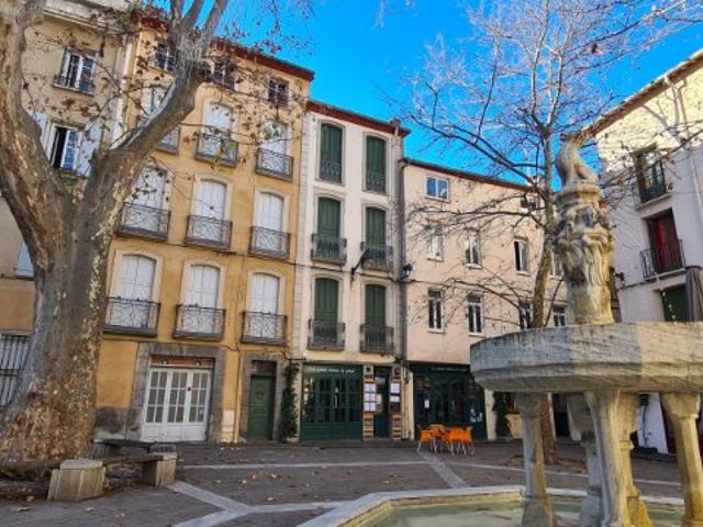 Céret Vente Maison 66