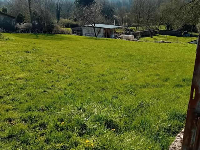 Cernon Vente Terrain 39