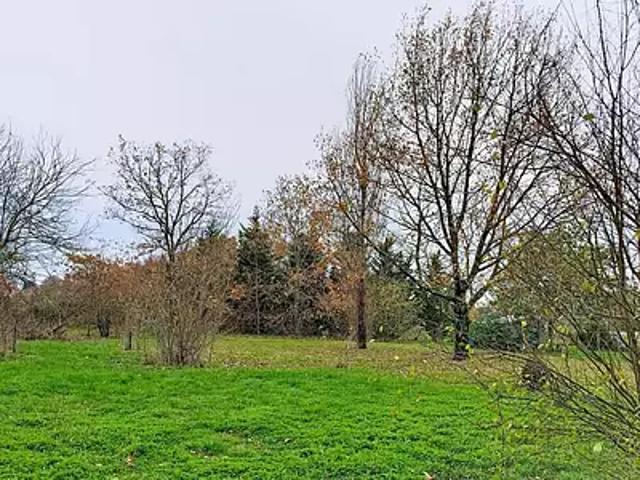 Cérons 33720 Programme neuf terrain neuf à vendre