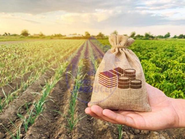 Cesenatico terreno agricolo fronte strada
