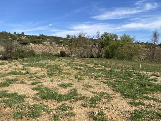 Cessenon sur Orb Vente Terrain 34