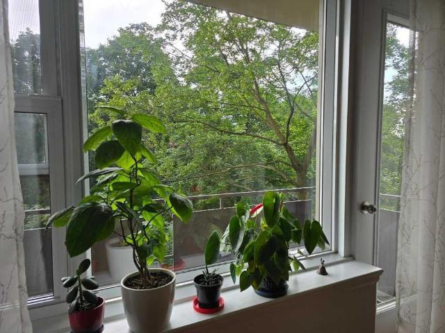 CESSION DE BAIL avec incentif de reprise, Spacieux 4 1/2 à Outremont. ACCES REM 10 min a pied. Belle vue sur la verdure